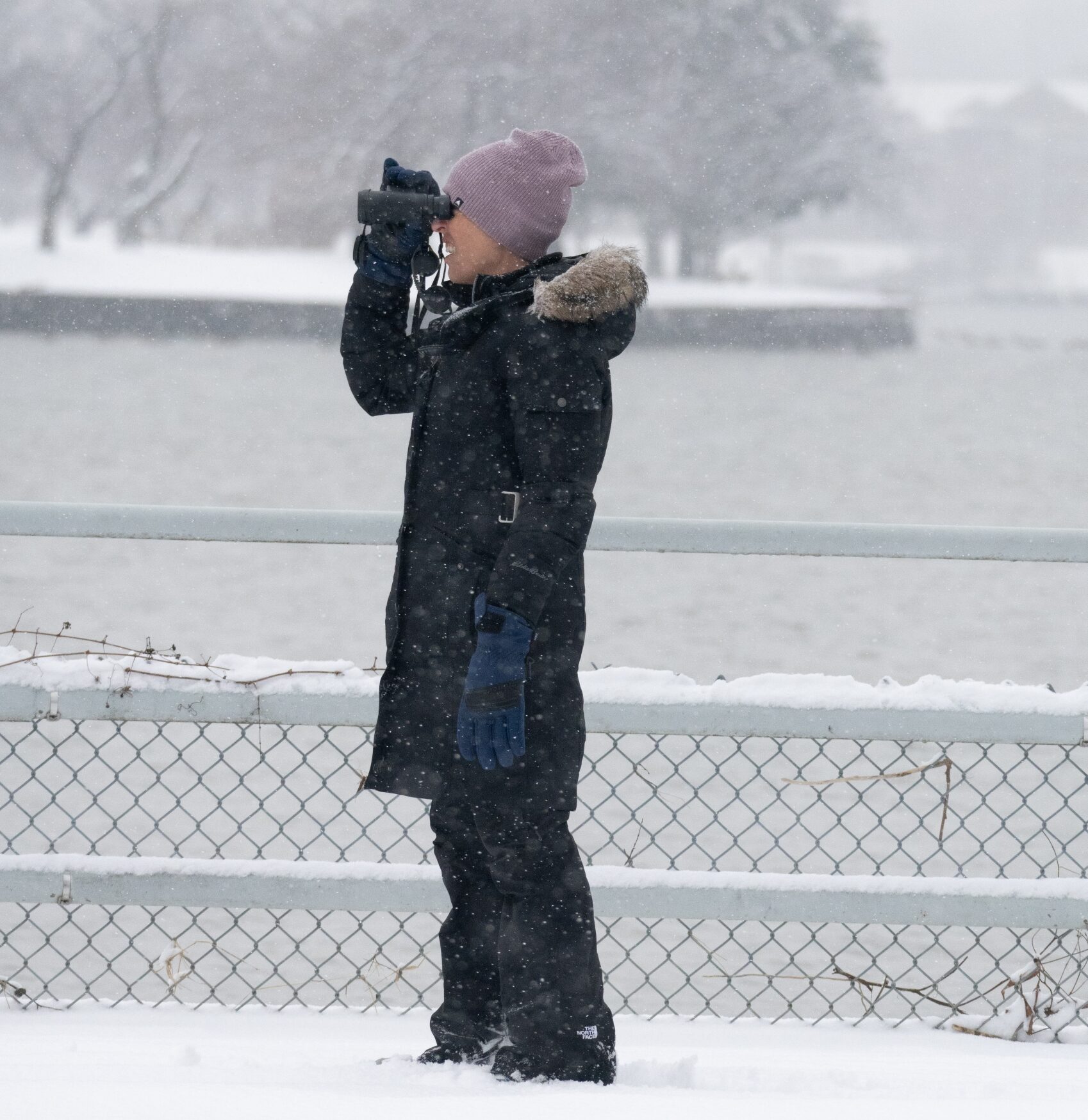 The author looking for birds through binoculars in the snow